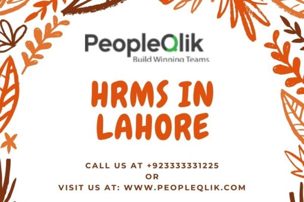 PeopleQlik HRMS in Lahore : Platform Exploration Self-Service Employees