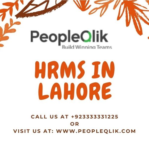 PeopleQlik HRMS in Lahore : Platform Exploration Self-Service Employees
